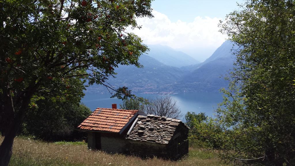 Lake Como View Apartement Allegro Аккуазериа Номер фото